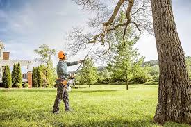 Best Lawn Mowing  in Haltom City, TX